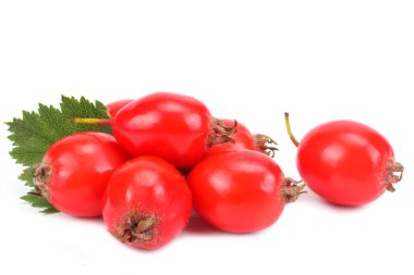hawthorn berry üzerinde beyaz izole. Kırpma yolu
