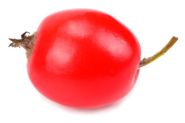 hawthorn berry üzerinde beyaz izole. Kırpma yolu