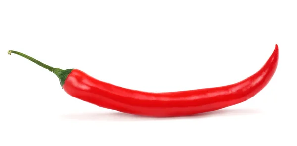 Röd Varm Chili Peppar Isolerad Vit Bakgrund — Stockfoto