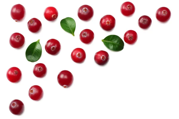 Cranberry Green Leaves Isolated White Background Top View — Stock Photo, Image