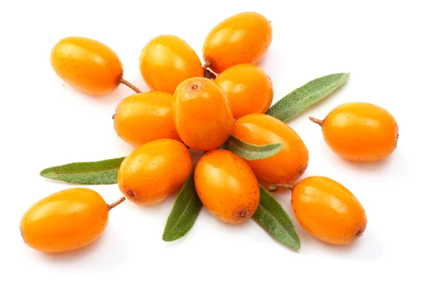 Sea Buckthorn Dengan Daun Hijau Terisolasi Pada Latar Belakang Putih — Stok Foto