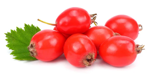 Hawthorn Berry Białym Tle Ścieżki Przycinające — Zdjęcie stockowe