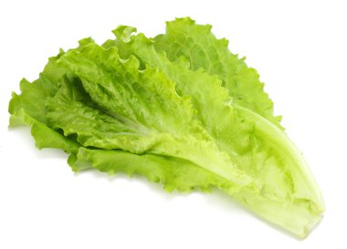 beyaz bir arka plan üzerinde izole bir salata yaprağı