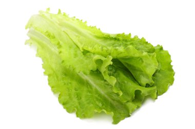 beyaz bir arka plan üzerinde izole bir salata yaprağı