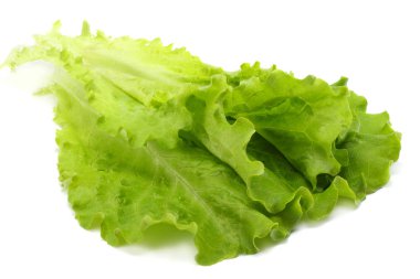 beyaz bir arka plan üzerinde izole bir salata yaprağı