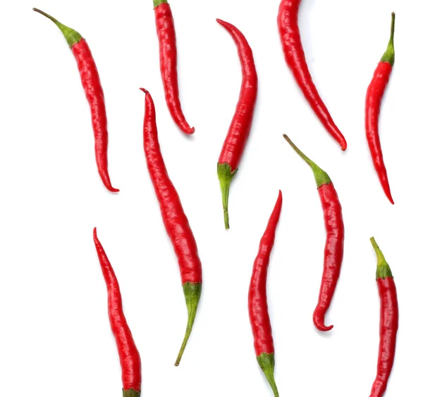 在白色背景色下分离的红辣椒 — 图库照片