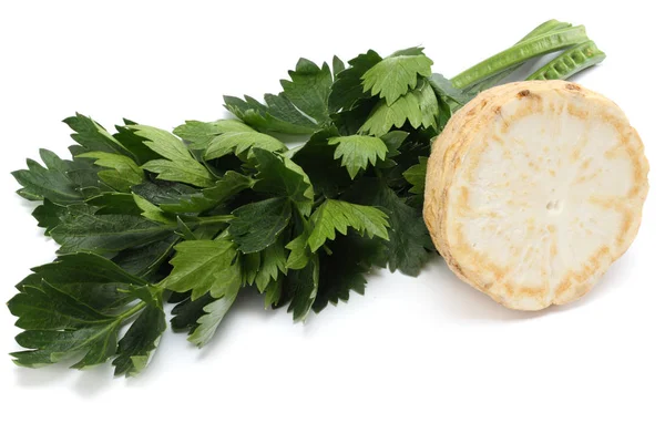 Rotselleri Med Leaf Isolerad Vit Bakgrund Selleri Isolerade Vitt Hälsosam — Stockfoto