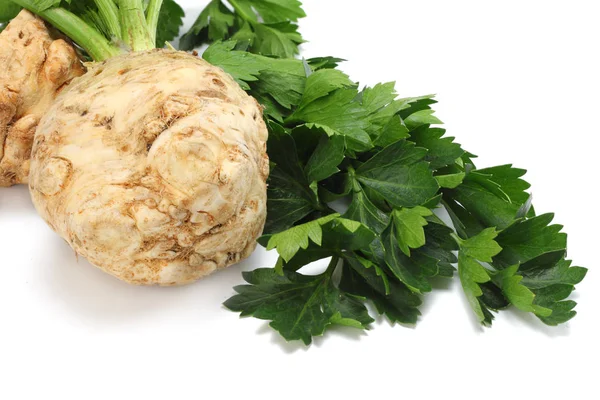 Celery Root Leaf Isolated White Background Celery Isolated White Healthy — Stock Photo, Image