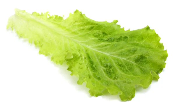 Een Salade Blad Geïsoleerd Een Witte Achtergrond — Stockfoto