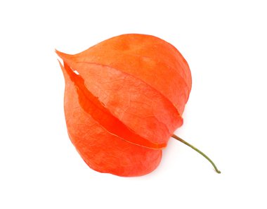 Beyaz arka plan üzerinde izole kırmızı physalis meyve. üstten görünüm