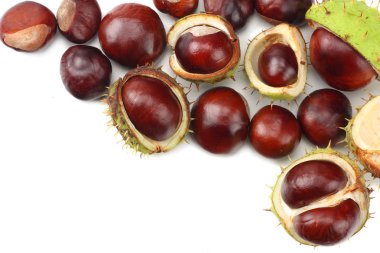 Kestaneler beyaz arka planda izole edilmiş. en üstteki görünüm