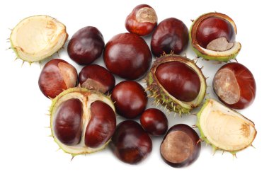 Kestaneler beyaz arka planda izole edilmiş. en üstteki görünüm