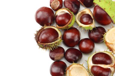 Kestaneler beyaz arka planda izole edilmiş. en üstteki görünüm