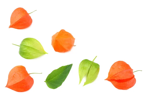 Fruta Physalis Roja Verde Aislada Sobre Fondo Blanco Vista Superior — Foto de Stock