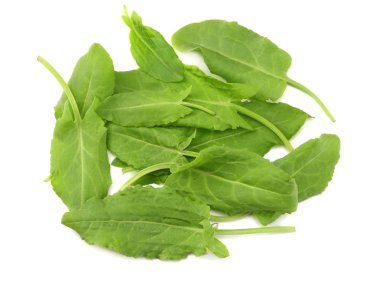 kuzukulağı, Bahçe kuzukulağı taze, yabani acetosa, yeşil yaprakları, beyaz arka plan üzerinde izole. Üstten görünüm 