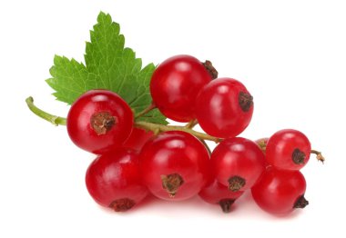 yeşil yaprak beyaz bir arka plan üzerinde izole kırmızı kuş üzümü. makro. sağlıklı gıda