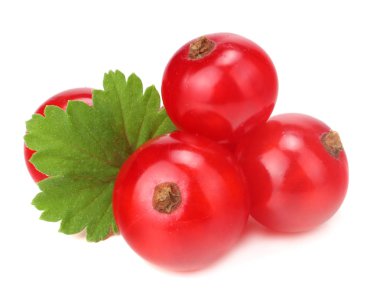 yeşil yaprak beyaz bir arka plan üzerinde izole kırmızı kuş üzümü. makro. sağlıklı gıda