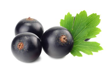 Beyaz arka planda yeşil yapraklı siyah frenk üzümü. makro