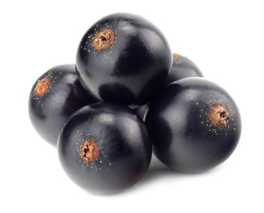 Beyaz arka planda siyah kuşüzümü izole edilmiş. makro