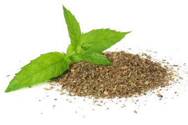 Beyaz arka plan üzerinde izole kuru nane yaprakları ile taze nane yaprakları