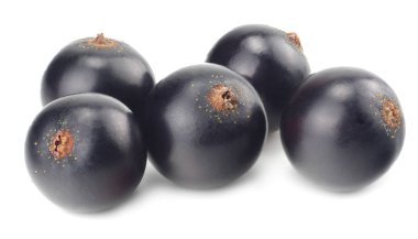 Beyaz arka planda siyah kuşüzümü izole edilmiş. makro