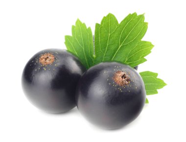 Beyaz arka planda yeşil yapraklı siyah frenk üzümü. makro