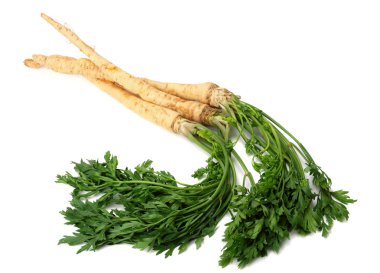 Beyaz arka plan üzerinde izole taze maydanoz kökü