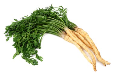 Beyaz arka plan üzerinde izole taze maydanoz kökü