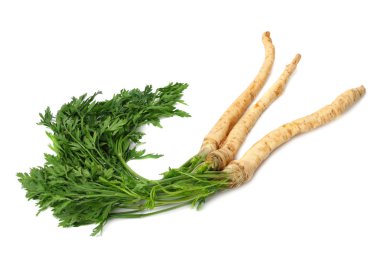 Beyaz arka plan üzerinde izole taze maydanoz kökü