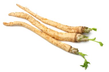 Beyaz arka plan üzerinde izole taze maydanoz kökü