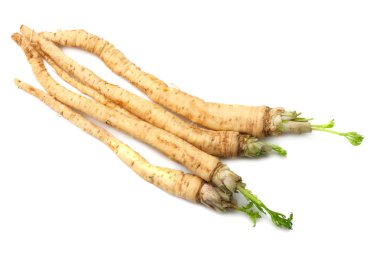 Beyaz arka plan üzerinde izole taze maydanoz kökü