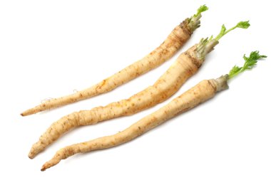 Beyaz arka plan üzerinde izole taze maydanoz kökü