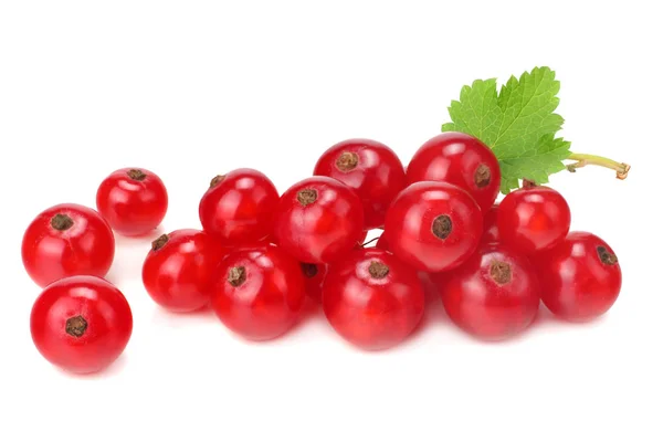 白い背景に分離した緑の葉と赤スグリ マクロ 健康食品 — ストック写真