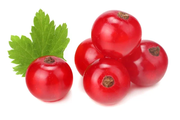 Rote Johannisbeere Mit Grünem Blatt Isoliert Auf Weißem Hintergrund Makro — Stockfoto