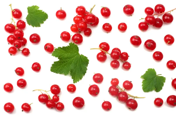 Red Currant Green Leaf Isolated White Background Healthy Food Top — Stock Photo, Image