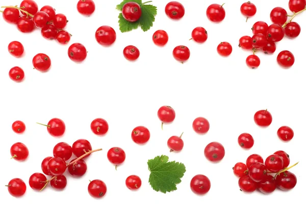 Red Currant Green Leaf Isolated White Background Top View Healthy — Stock Photo, Image