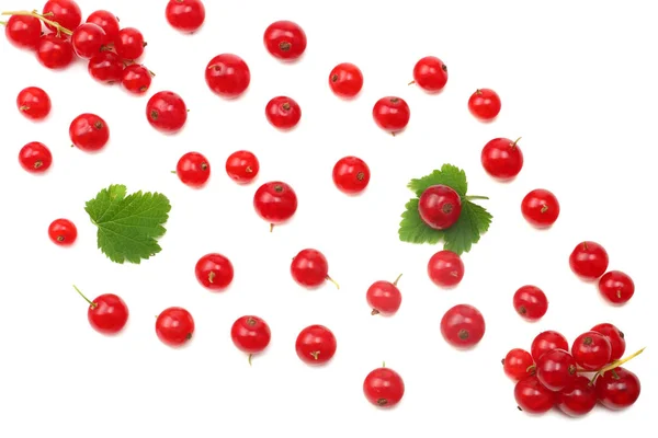 Grosella Roja Con Hoja Verde Aislada Sobre Fondo Blanco Vista —  Fotos de Stock