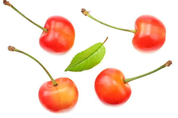 Cereza Con Hoja Verde Aislada Sobre Fondo Blanco — Foto de Stock