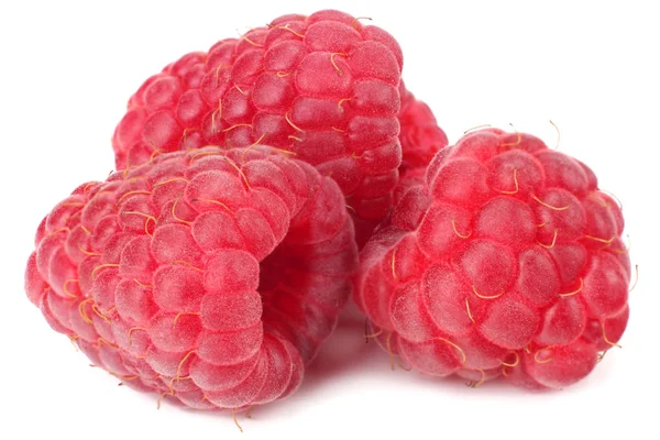 Ripe Raspberries Isolated White Background Macro — Stock Photo, Image