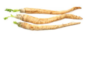 Beyaz arka plan üzerinde izole taze maydanoz kökü