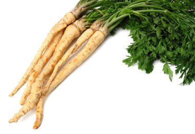 Beyaz arka plan üzerinde izole taze maydanoz kökü