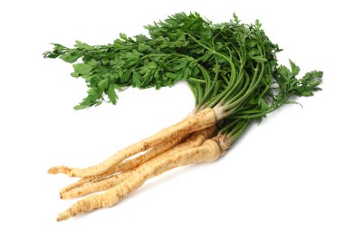 Beyaz arka plan üzerinde izole taze maydanoz kökü