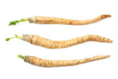 Beyaz arka plan üzerinde izole taze maydanoz kökü