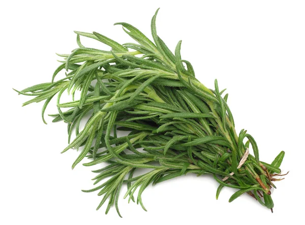 Rosemary Branch Isolated White Background — Stock Photo, Image