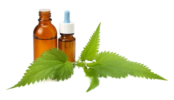 Nettle Essential Oil Isolated White Background Medical Herbs — Stock Photo, Image