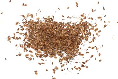 Beyaz arka plan üzerinde izole dereotu tohum. üstten görünüm