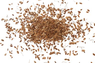 Beyaz arka plan üzerinde izole dereotu tohum. üstten görünüm