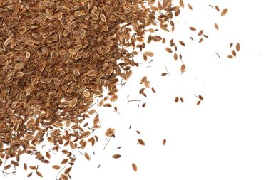 Beyaz arka plan üzerinde izole dereotu tohum. üstten görünüm