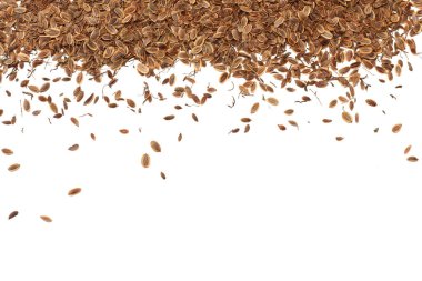 Beyaz arka plan üzerinde izole dereotu tohum. üstten görünüm