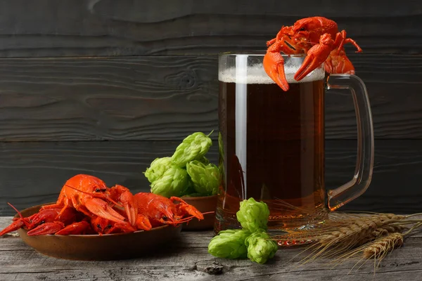 Glass beer with crawfish and hop cones on dark wooden background. Beer brewery concept. Beer background